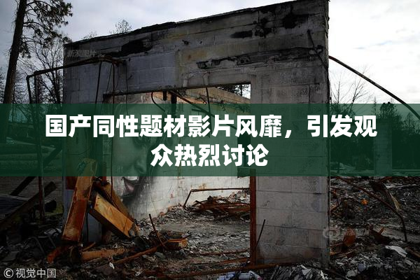 国产同性题材影片风靡，引发观众热烈讨论