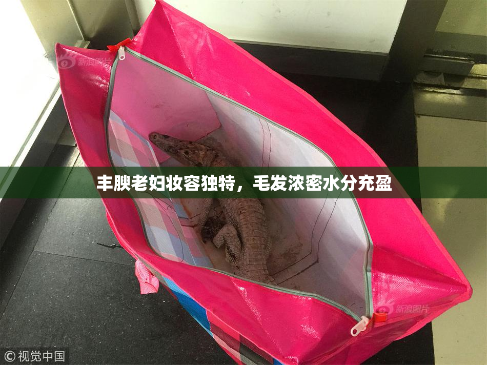丰腴老妇妆容独特，毛发浓密水分充盈
