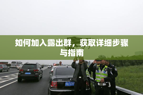 如何加入露出群，获取详细步骤与指南