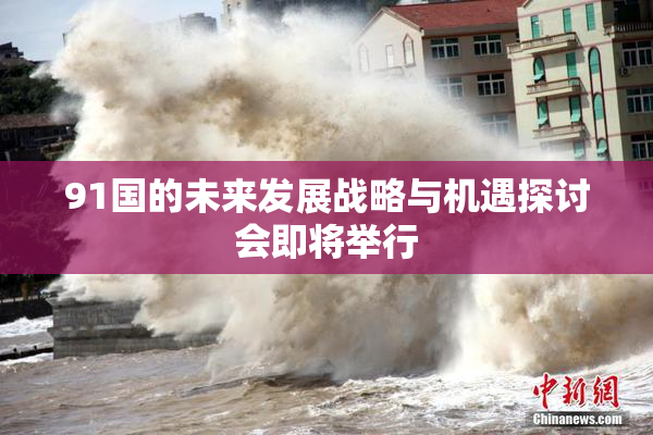 91国的未来发展战略与机遇探讨会即将举行
