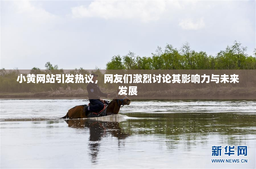 小黄网站引发热议，网友们激烈讨论其影响力与未来发展