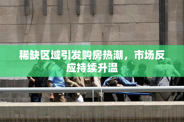 稀缺区域引发购房热潮，市场反应持续升温