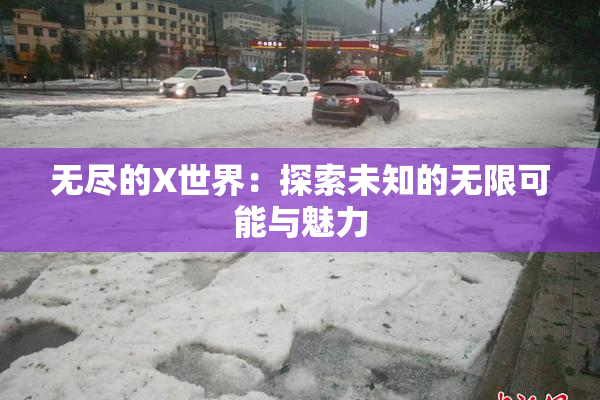 无尽的X世界：探索未知的无限可能与魅力