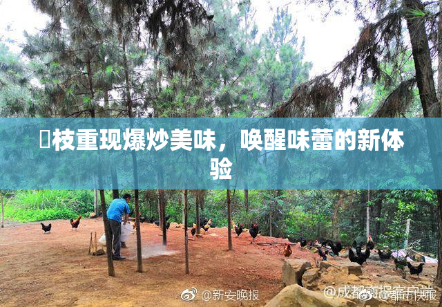 狛枝重现爆炒美味，唤醒味蕾的新体验