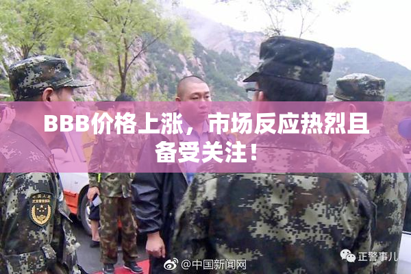 BBB价格上涨，市场反应热烈且备受关注！