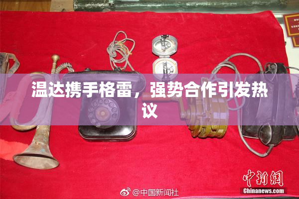 温达携手格雷，强势合作引发热议
