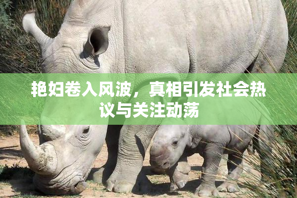 艳妇卷入风波，真相引发社会热议与关注动荡