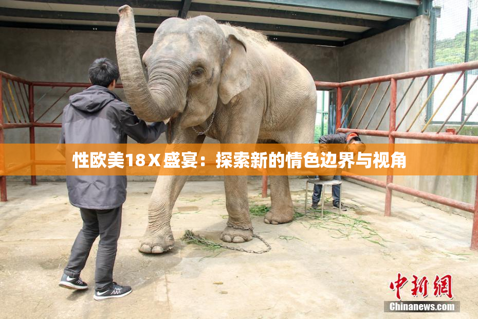 性欧美18Ⅹ盛宴：探索新的情色边界与视角
