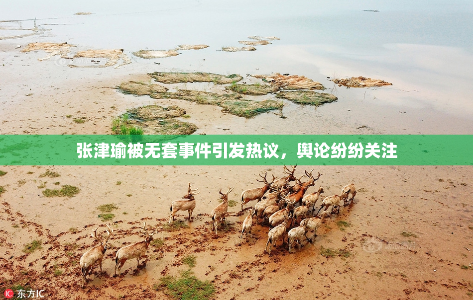 张津瑜被无套事件引发热议，舆论纷纷关注