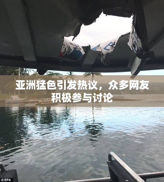 亚洲猛色引发热议，众多网友积极参与讨论