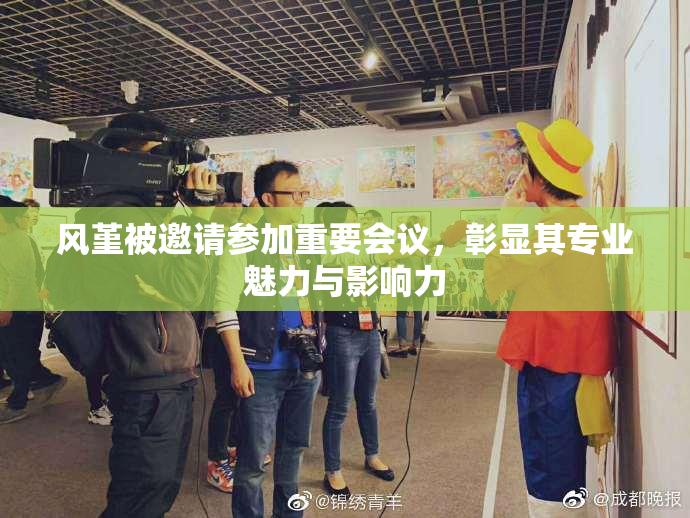 风堇被邀请参加重要会议，彰显其专业魅力与影响力