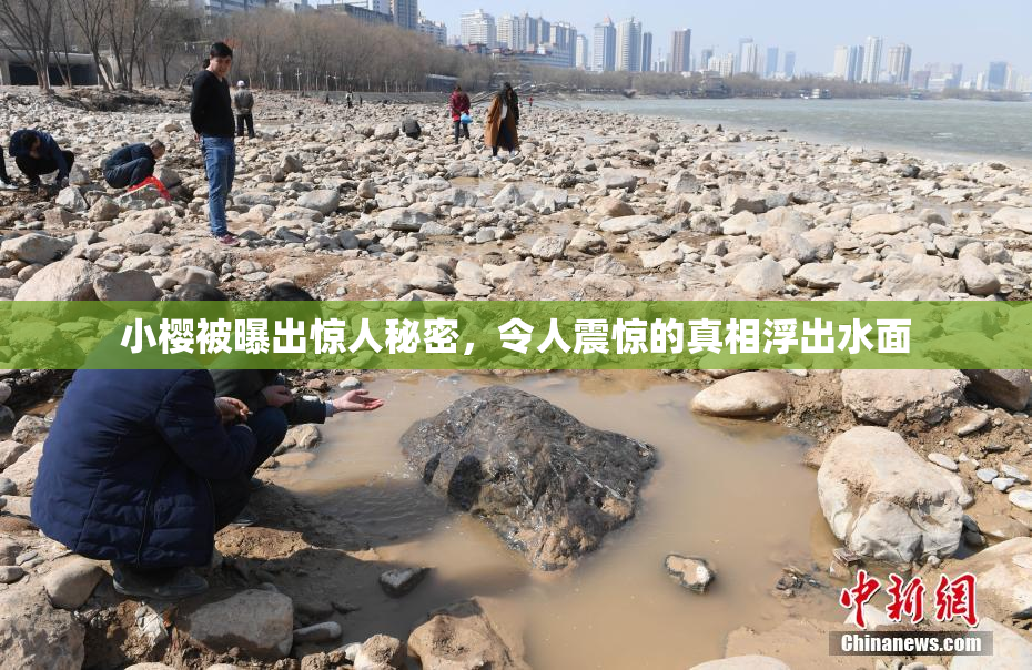 小樱被曝出惊人秘密，令人震惊的真相浮出水面