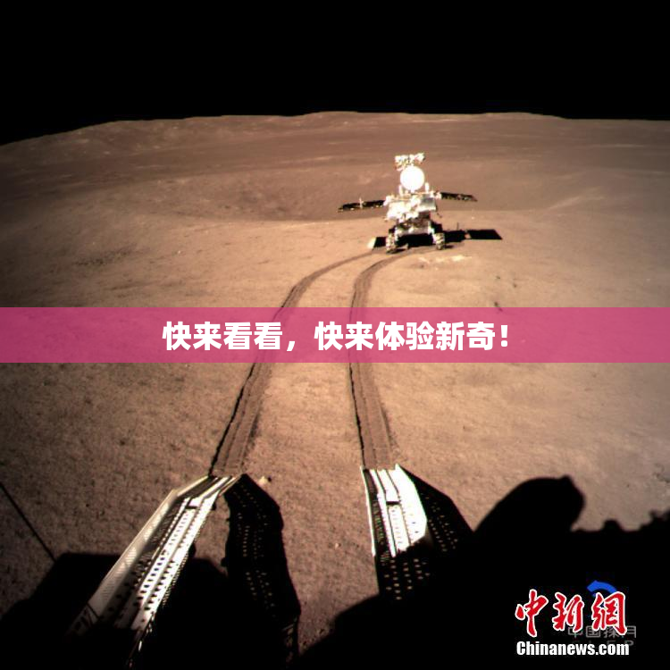 快来看看，快来体验新奇！