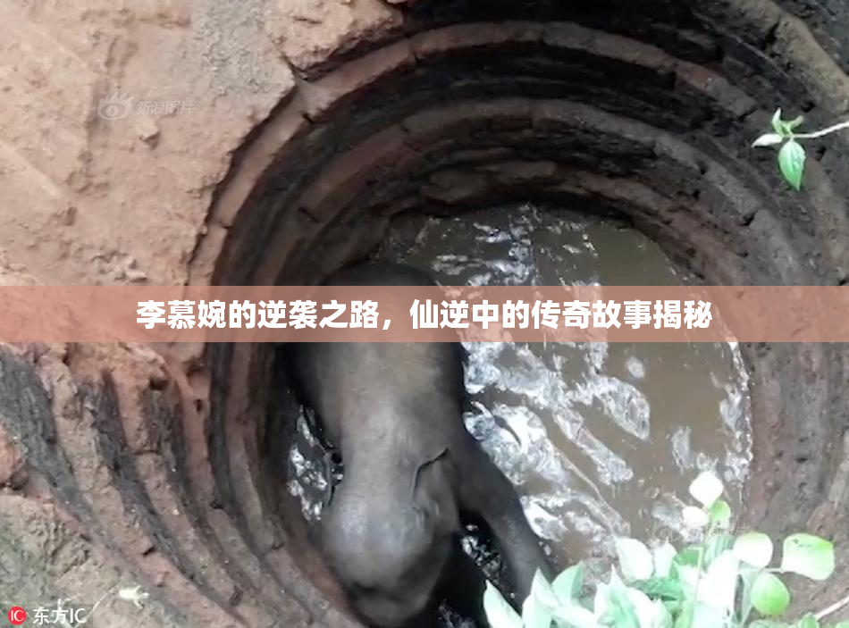 李慕婉的逆袭之路，仙逆中的传奇故事揭秘