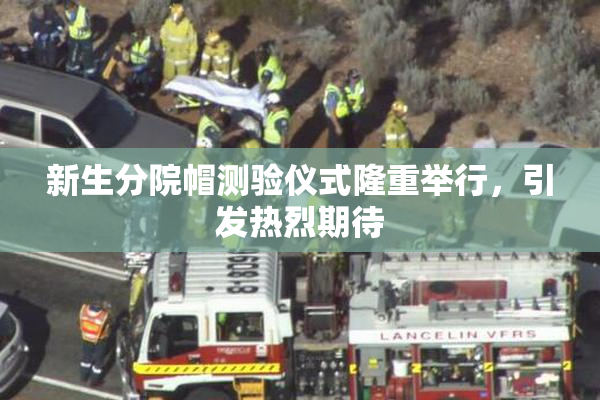 新生分院帽测验仪式隆重举行，引发热烈期待