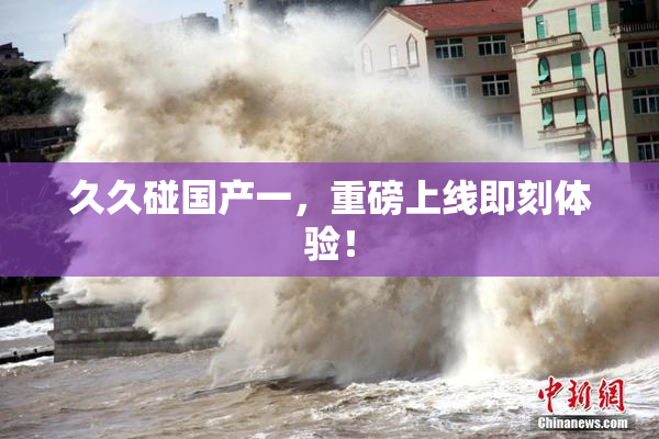 久久碰国产一，重磅上线即刻体验！