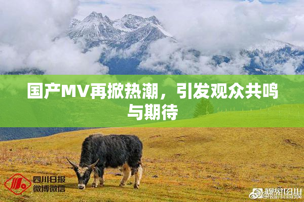 国产MV再掀热潮，引发观众共鸣与期待