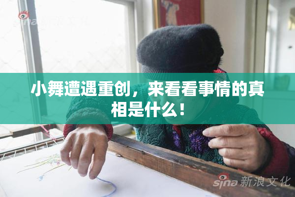 小舞遭遇重创，来看看事情的真相是什么！