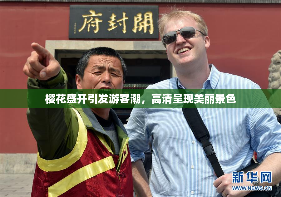 樱花盛开引发游客潮，高清呈现美丽景色
