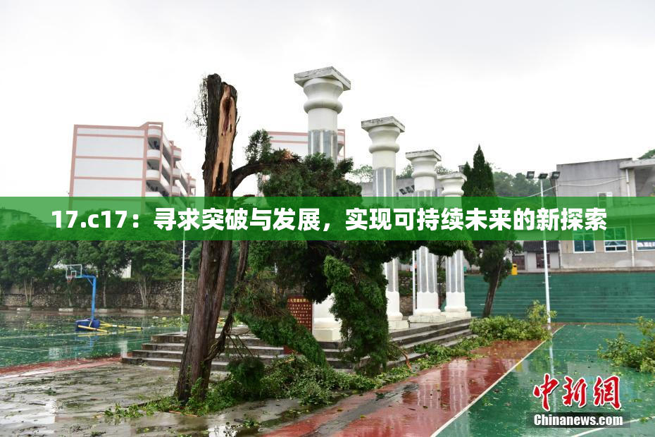 17.c17：寻求突破与发展，实现可持续未来的新探索