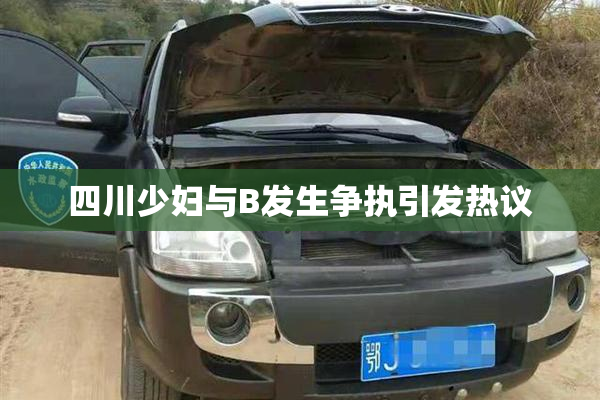 四川少妇与B发生争执引发热议