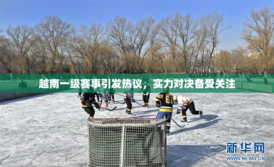 越南一级赛事引发热议，实力对决备受关注
