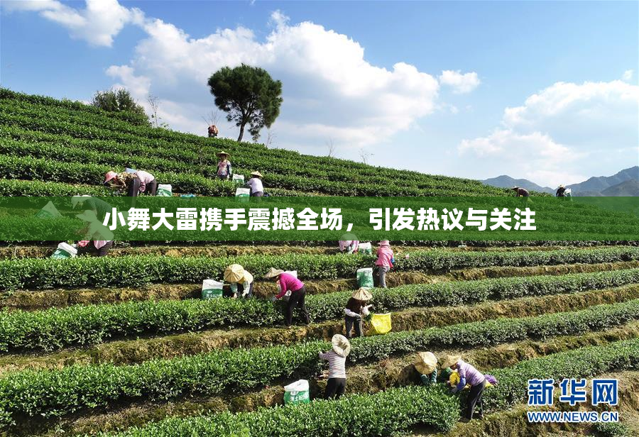 小舞大雷携手震撼全场，引发热议与关注