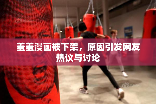 羞羞漫画被下架，原因引发网友热议与讨论