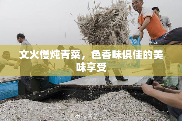 文火慢炖青菜，色香味俱佳的美味享受