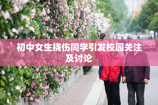 初中女生挠伤同学引发校园关注及讨论