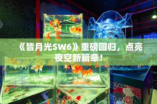 《皆月光SW6》重磅回归，点亮夜空新篇章！