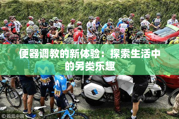 便器调教的新体验：探索生活中的另类乐趣