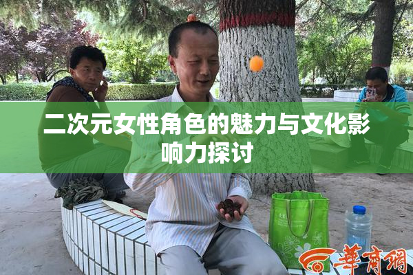 二次元女性角色的魅力与文化影响力探讨