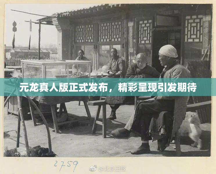 元龙真人版正式发布，精彩呈现引发期待