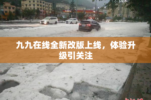 九九在线全新改版上线，体验升级引关注