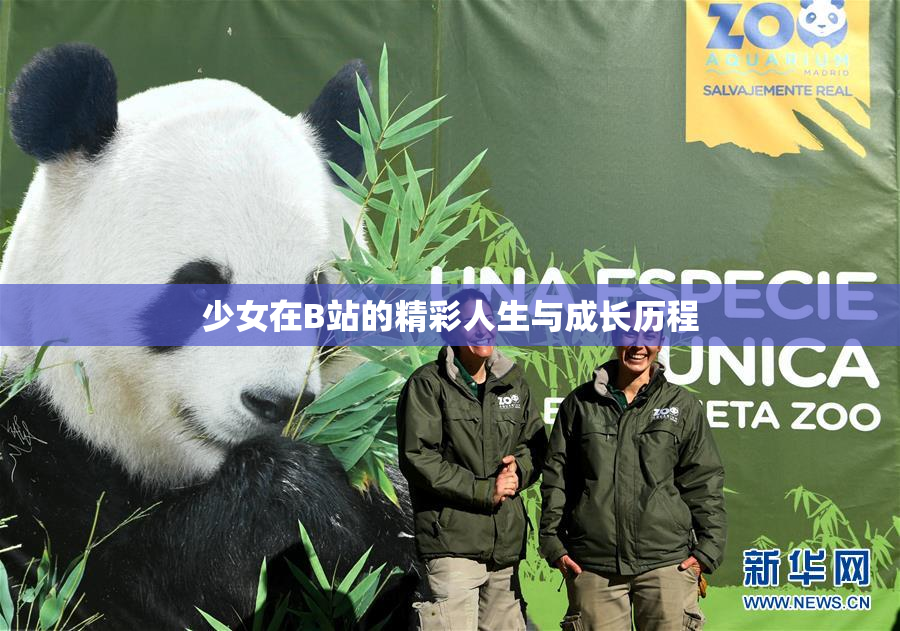 少女在B站的精彩人生与成长历程
