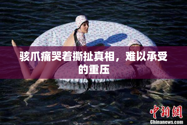 骇爪痛哭着撕扯真相，难以承受的重压