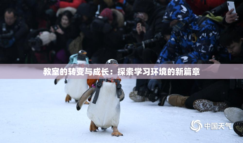 教室的转变与成长：探索学习环境的新篇章
