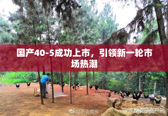 国产40-5成功上市，引领新一轮市场热潮