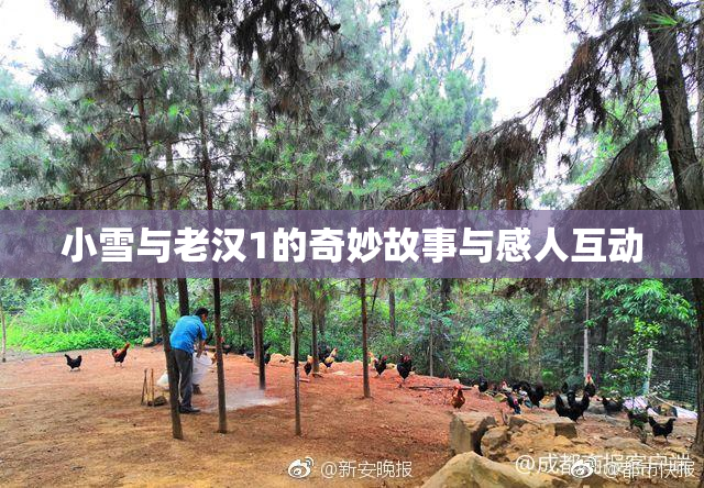 小雪与老汉1的奇妙故事与感人互动