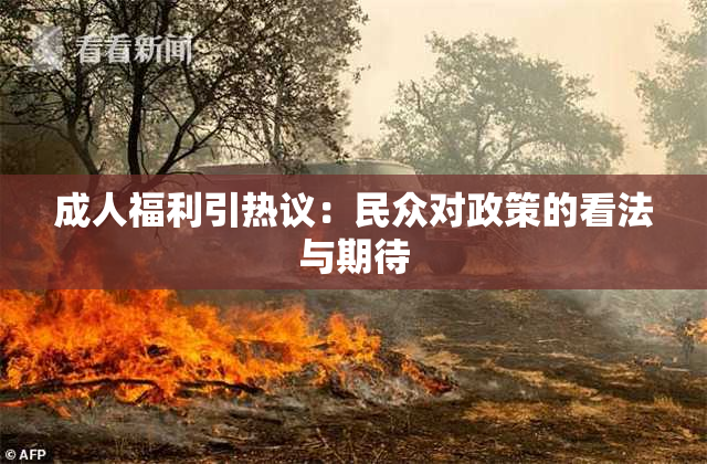成人福利引热议：民众对政策的看法与期待