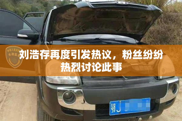 刘浩存再度引发热议，粉丝纷纷热烈讨论此事