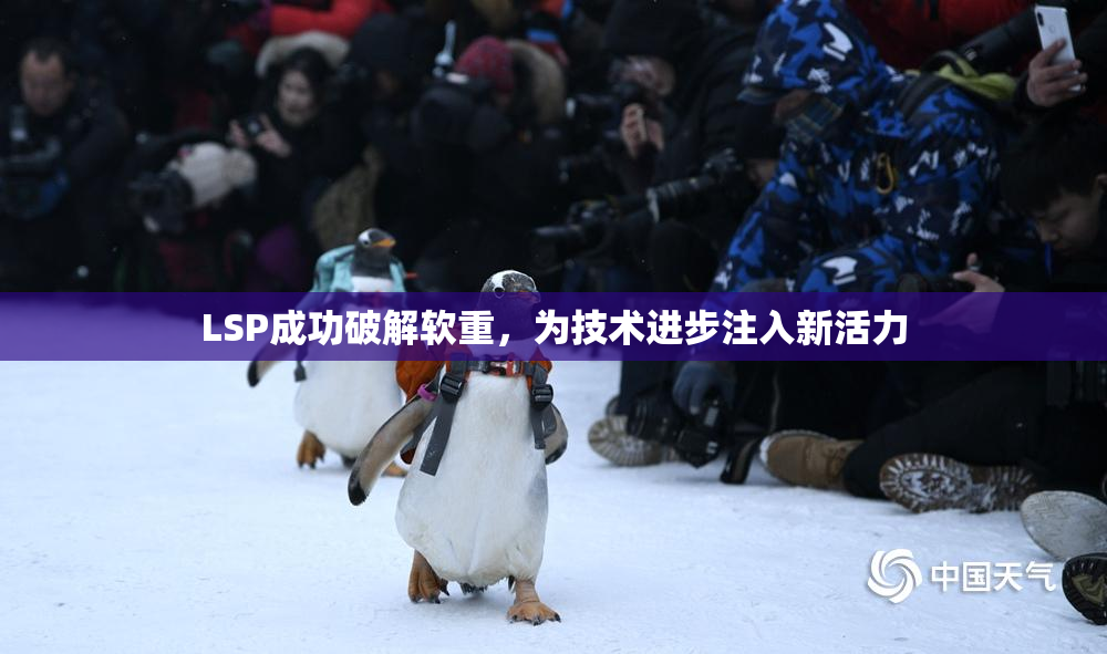 LSP成功破解软重，为技术进步注入新活力