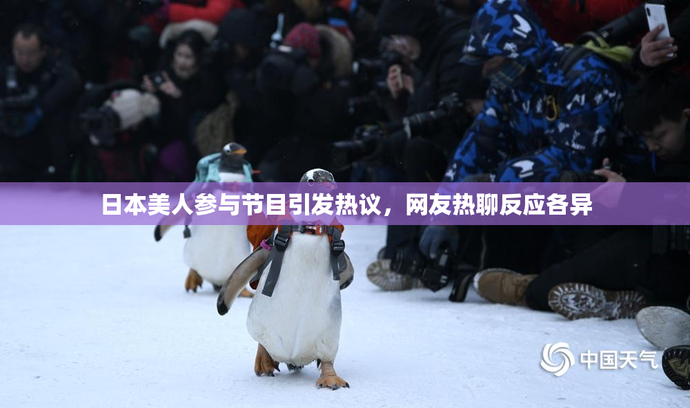 日本美人参与节目引发热议，网友热聊反应各异