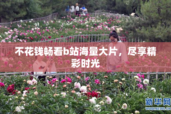 不花钱畅看b站海量大片，尽享精彩时光