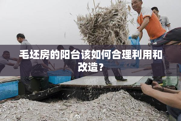 毛坯房的阳台该如何合理利用和改造？