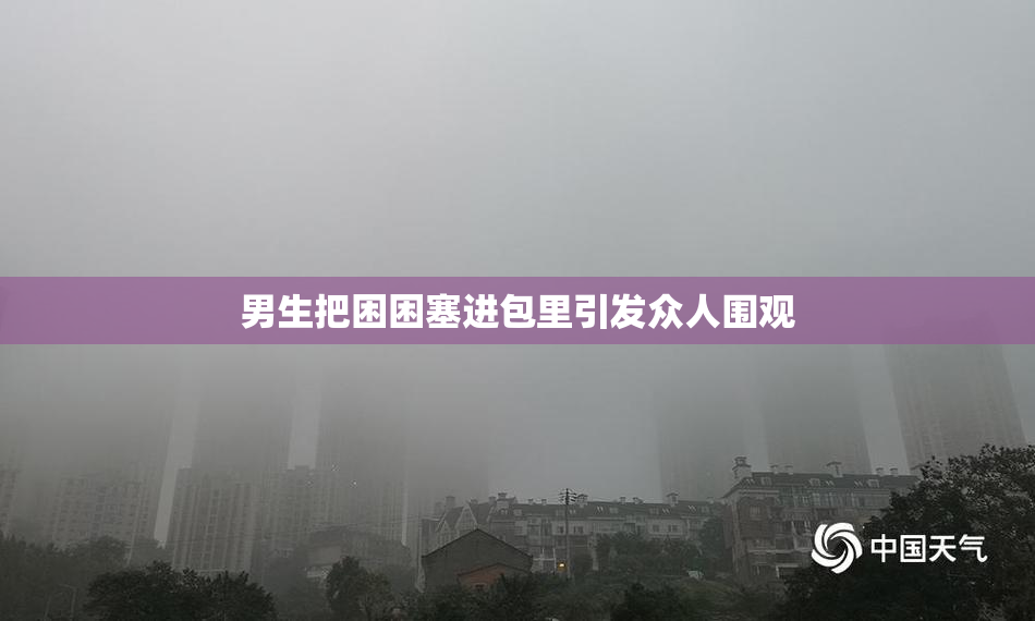 男生把困困塞进包里引发众人围观