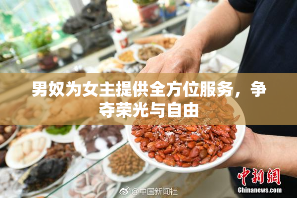 男奴为女主提供全方位服务，争夺荣光与自由