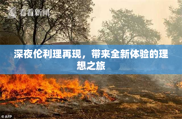 深夜伦利理再现，带来全新体验的理想之旅
