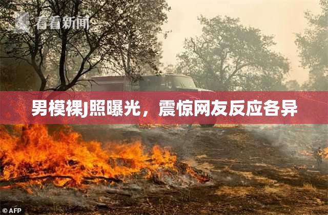 男模裸J照曝光，震惊网友反应各异